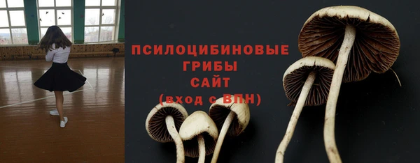 молекула духа Алексин