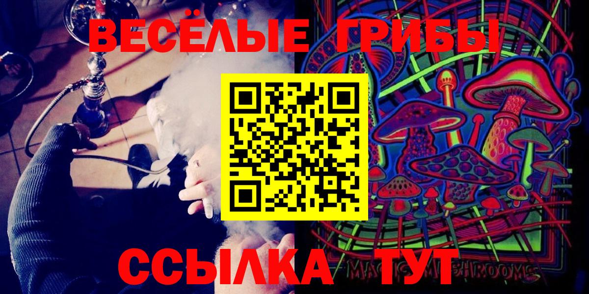Псилоцибиновые грибы мицелий Осинники