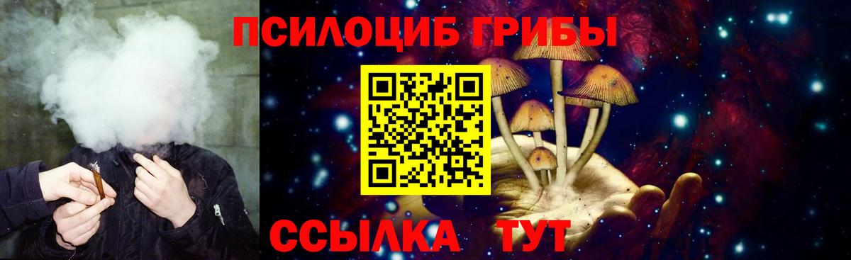 Осинники  Галлюциногенные грибы прущие грибы  Вход с VPN  Галлюциногенные грибы Magic Shrooms 